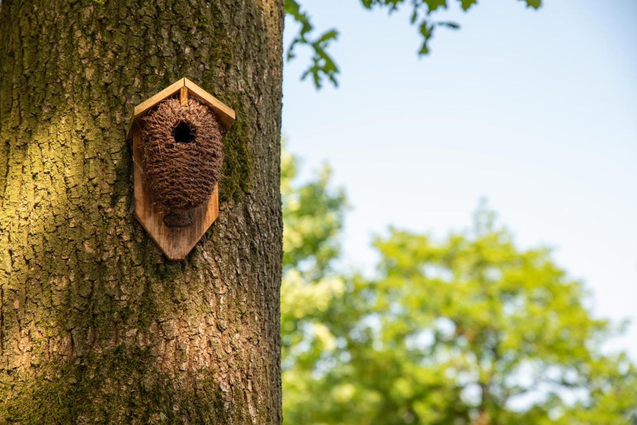 Nature Hideout At Veluwe Nature Park Putten Exterior foto